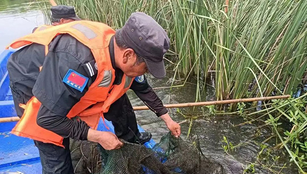 43ff99f19efa15605ba27ed0b003755a