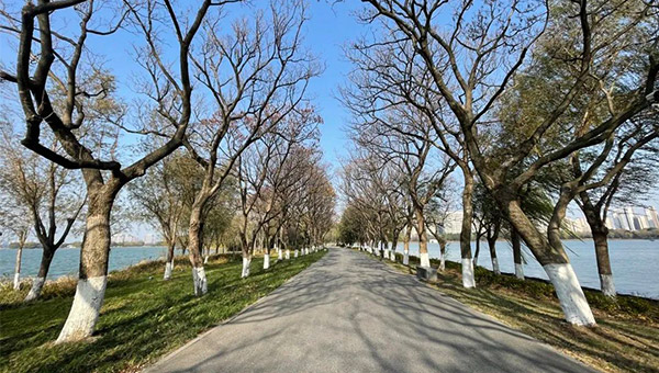 71612c1eb4a2bbef4c669588eca80b1c