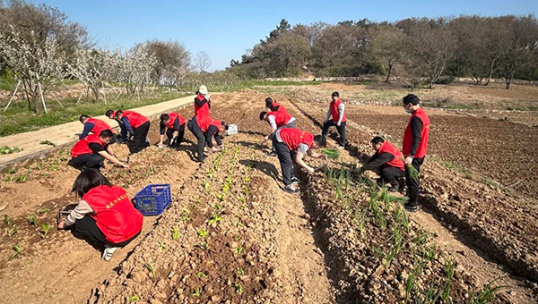 5c11471864ab17283d4acf86d85ac0ba