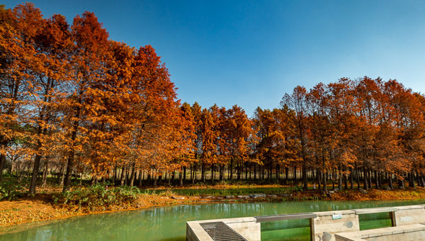 7a811b91680329884d07a67053534707