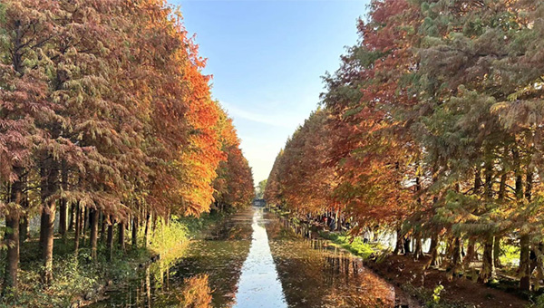 25006e60e5fd1fc1c4a33e39d8dd1158