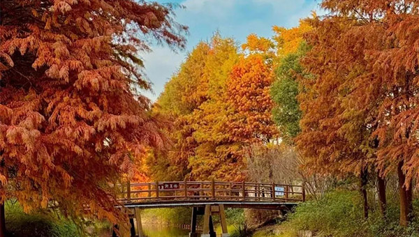 9130a085c458c484ff3bfdb22860f529