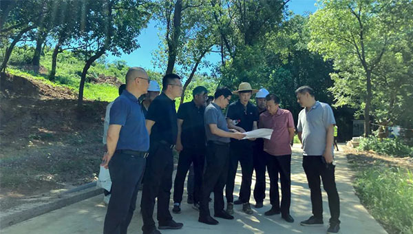 42e0c4ec11e84347de54cd17d83473de