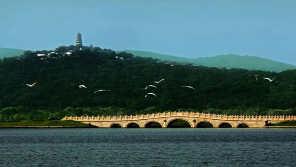 64979f4e431888095602a1e73ef7b18d