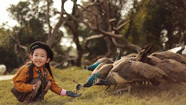 ce6b55610f3317840355ecc920def2c2