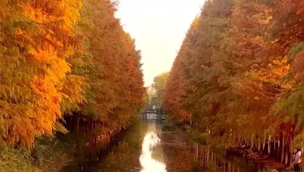 e1ac62d35ba49c455542715fa61aaf0c