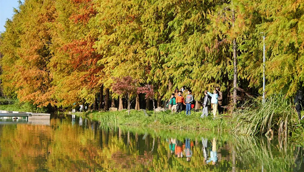 4a6bcb8d8e1f2a0d55c871949f08b9b3