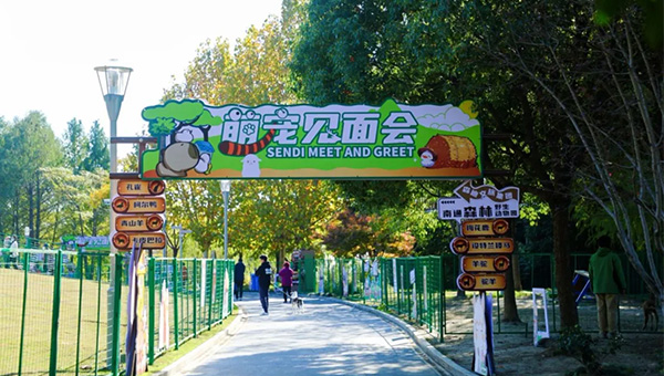 a28cfa03de8062a9fbca0aced2b77565