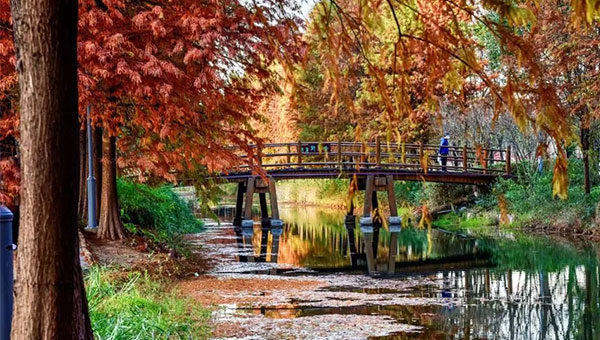 8b858c41e1e74eefea07b74b20fdf28c