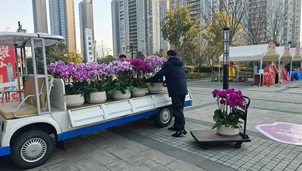 42d4c0847ecfa29504589c766f923468