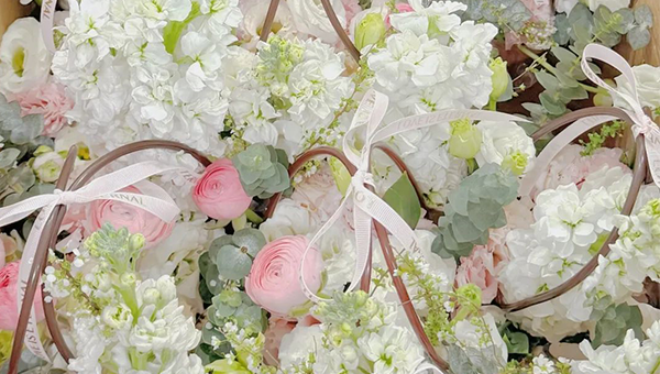 b81316477dce63e0ddadaa35375bd25d