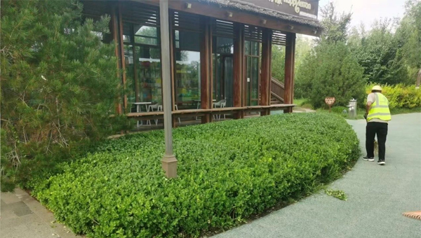 e02a8b838545755408ae4417034ce68e