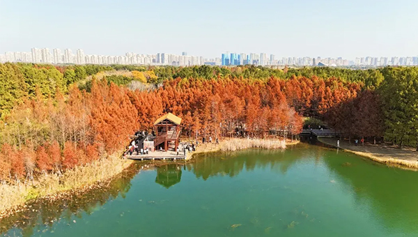 ce264f6a72e882af0f15ce58aa27d230